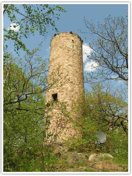 Auf dem Bild ist der König-Albert-Turm mit Bäumen zu sehen