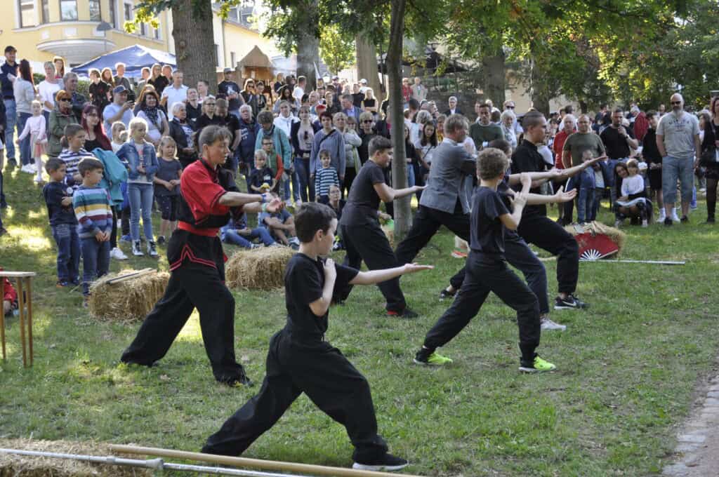 Auf dem Bild ist eine Gruppe Menschen zu sehen, die gemeinsam Kampfsport-Übungen durchführen